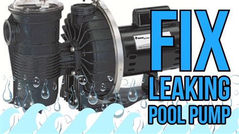 How to Stop A Pool Pump From Leaking